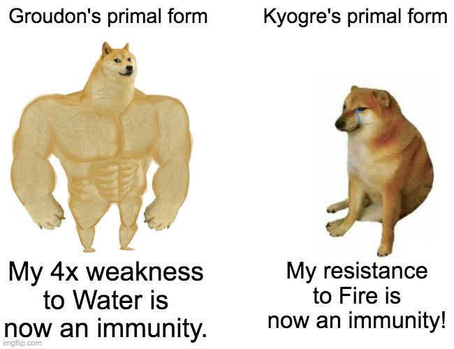 Both weather abilities look freaking epic though | Groudon's primal form; Kyogre's primal form; My 4x weakness to Water is now an immunity. My resistance to Fire is now an immunity! | image tagged in memes,buff doge vs cheems,pokemon | made w/ Imgflip meme maker