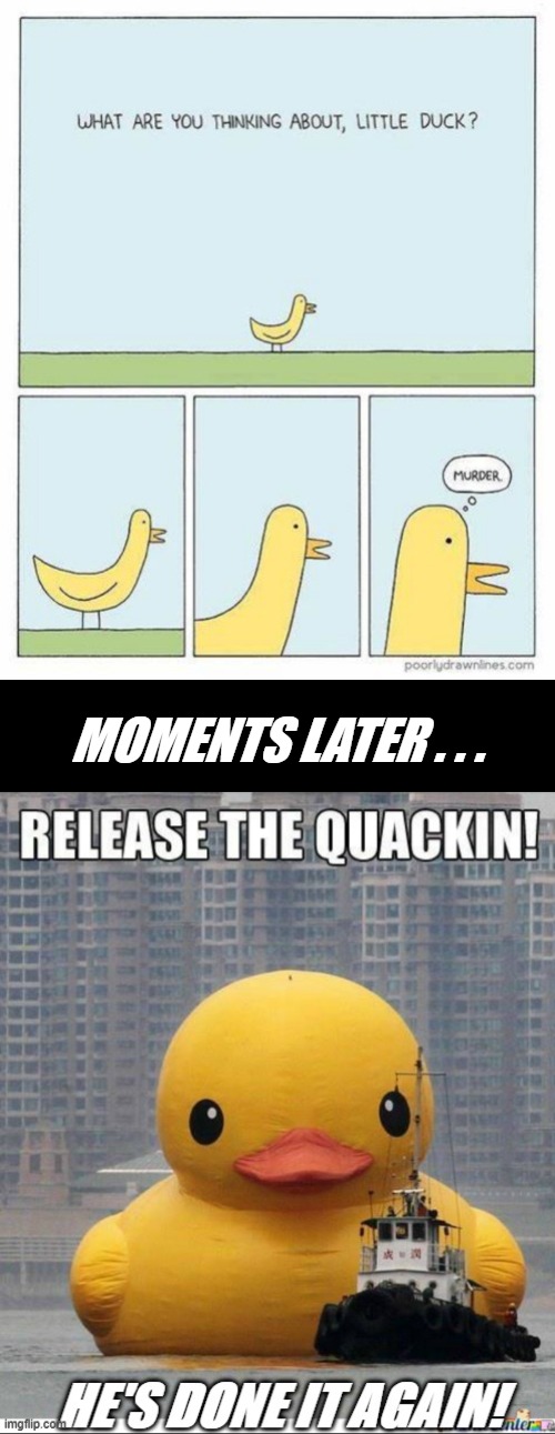 ducky gonna be goin places | MOMENTS LATER . . . | image tagged in black blank,ducky,murder,murder duck,run | made w/ Imgflip meme maker