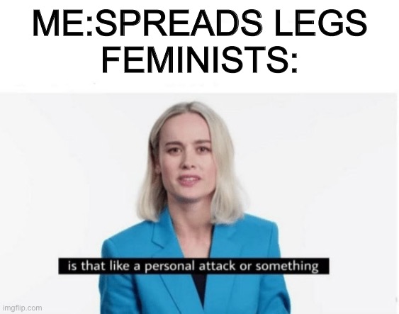 Is that like a personal attack or something? | ME:SPREADS LEGS
FEMINISTS: | image tagged in is that like a personal attack or something | made w/ Imgflip meme maker