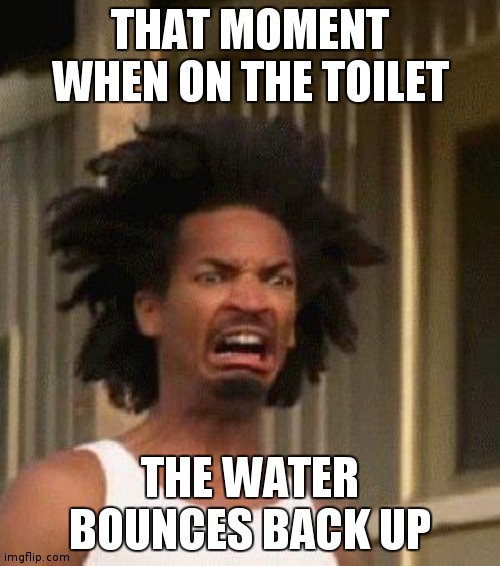 I hate this | THAT MOMENT WHEN ON THE TOILET; THE WATER BOUNCES BACK UP | image tagged in disgusted face | made w/ Imgflip meme maker