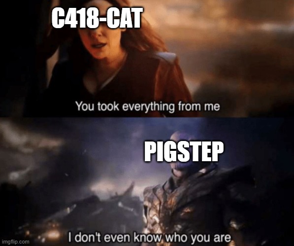 You took everything from me - I don't even know who you are | C418-CAT; PIGSTEP | image tagged in you took everything from me - i don't even know who you are | made w/ Imgflip meme maker