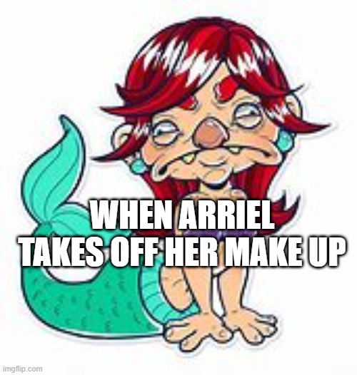 WHEN ARRIEL TAKES OFF HER MAKE UP | image tagged in funny | made w/ Imgflip meme maker