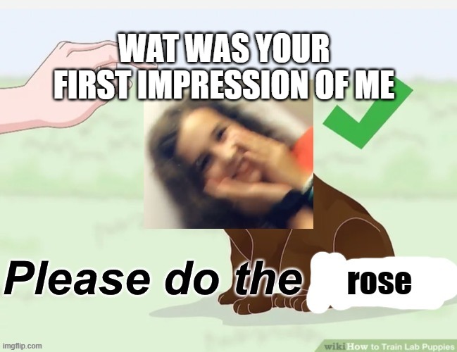 WAT WAS YOUR FIRST IMPRESSION OF ME | image tagged in please do the rose | made w/ Imgflip meme maker