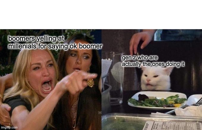 Woman Yelling At Cat | boomers yelling at millenials for saying ok boomer; gen z who are actually the ones doing it | image tagged in memes,woman yelling at cat | made w/ Imgflip meme maker