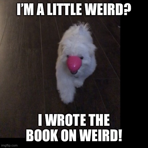 I’m a Little Weird? | I’M A LITTLE WEIRD? I WROTE THE BOOK ON WEIRD! | image tagged in just being weird | made w/ Imgflip meme maker