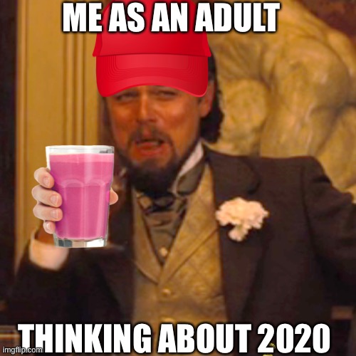 Laughing Leo Meme | ME AS AN ADULT; THINKING ABOUT 2020 | image tagged in memes,laughing leo | made w/ Imgflip meme maker