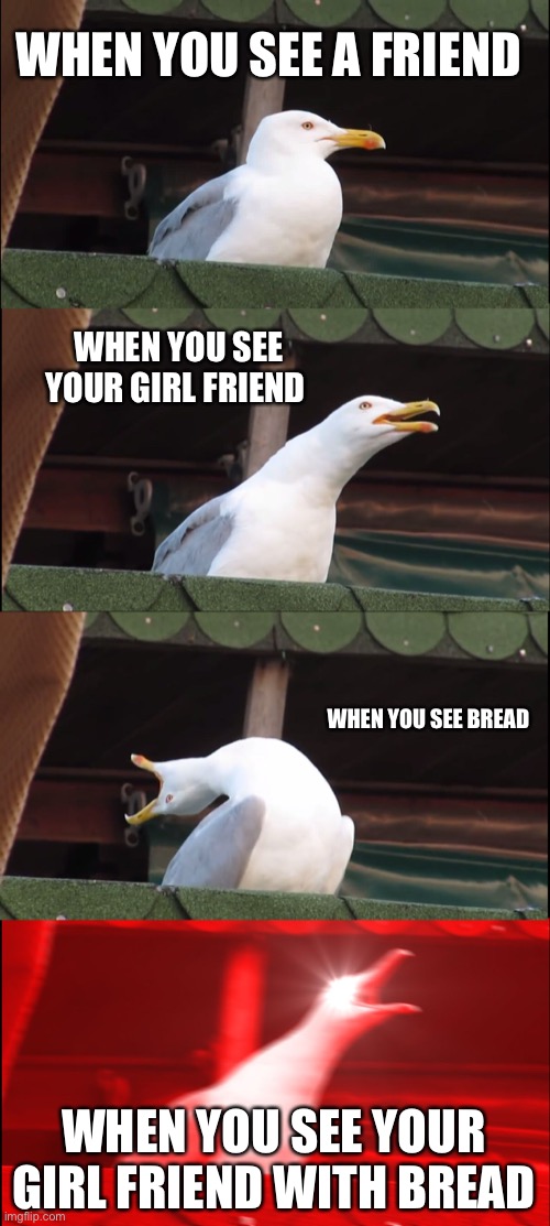 Bread | WHEN YOU SEE A FRIEND; WHEN YOU SEE YOUR GIRL FRIEND; WHEN YOU SEE BREAD; WHEN YOU SEE YOUR GIRL FRIEND WITH BREAD | image tagged in memes,inhaling seagull | made w/ Imgflip meme maker