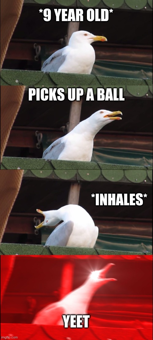 Inhaling Seagull | *9 YEAR OLD*; PICKS UP A BALL; *INHALES*; YEET | image tagged in memes,inhaling seagull | made w/ Imgflip meme maker