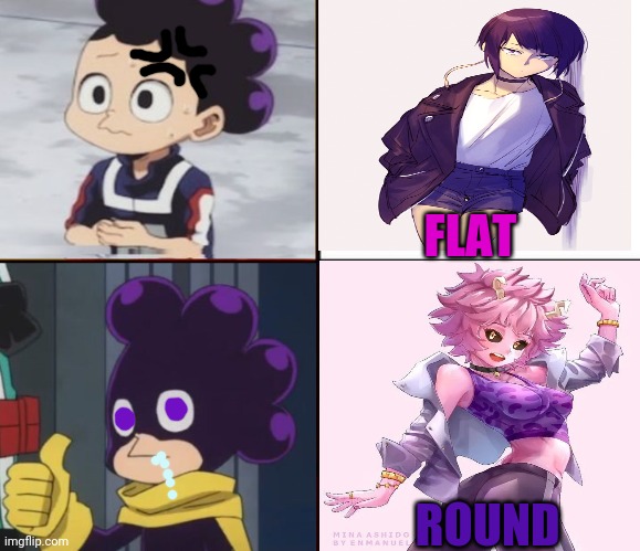 Mineta has a type... | FLAT; ROUND | image tagged in mha,mineta,round vs flat,anime girl | made w/ Imgflip meme maker
