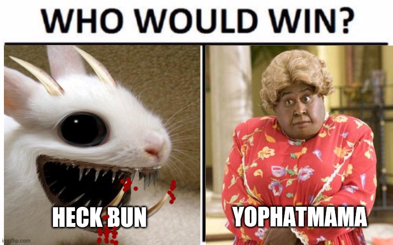 Who Would Win? Meme | HECK BUN YOPHATMAMA | image tagged in memes,who would win | made w/ Imgflip meme maker