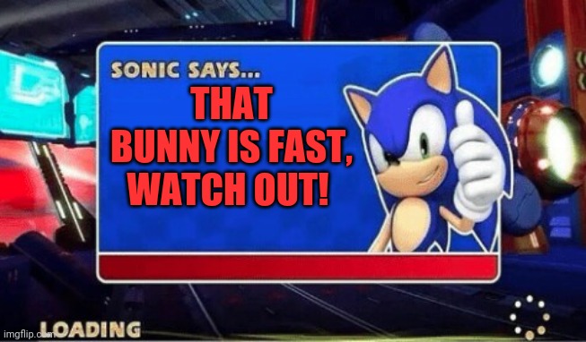 Sonic Says | THAT BUNNY IS FAST, WATCH OUT! | image tagged in sonic says | made w/ Imgflip meme maker