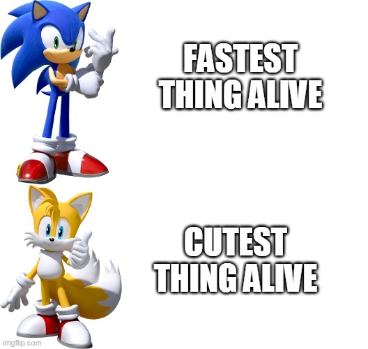 UwU | FASTEST THING ALIVE; CUTEST THING ALIVE | image tagged in cute,fast,tails,sonic the hedgehog | made w/ Imgflip meme maker