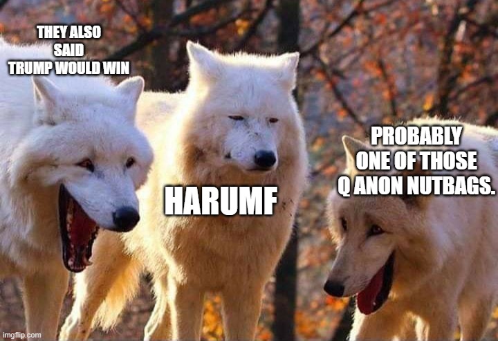Laughing wolf | THEY ALSO SAID TRUMP WOULD WIN HARUMF PROBABLY ONE OF THOSE Q ANON NUTBAGS. | image tagged in laughing wolf | made w/ Imgflip meme maker