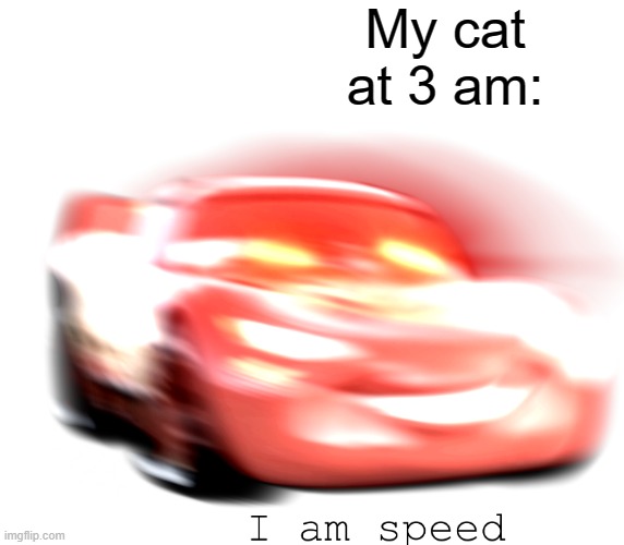 I Am Speed | My cat at 3 am: | image tagged in i am speed | made w/ Imgflip meme maker