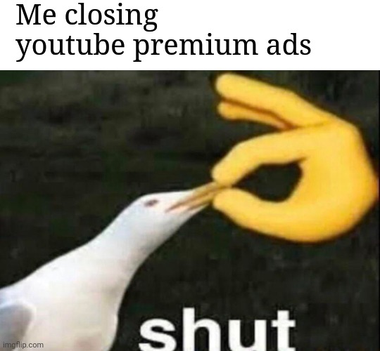 I don't have money | Me closing youtube premium ads | image tagged in shut,youtube,ads,money | made w/ Imgflip meme maker
