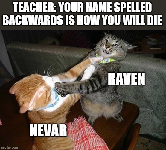Two cats fighting for real | TEACHER: YOUR NAME SPELLED BACKWARDS IS HOW YOU WILL DIE; RAVEN; NEVAR | image tagged in two cats fighting for real | made w/ Imgflip meme maker