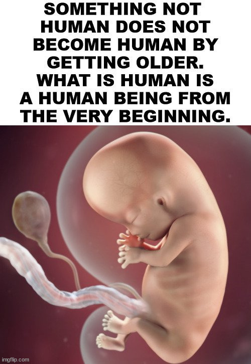 Human life | image tagged in pro life,political meme | made w/ Imgflip meme maker