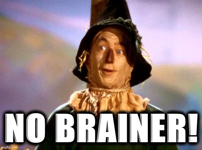 Wizard of Oz Scarecrow | NO BRAINER! | image tagged in wizard of oz scarecrow | made w/ Imgflip meme maker