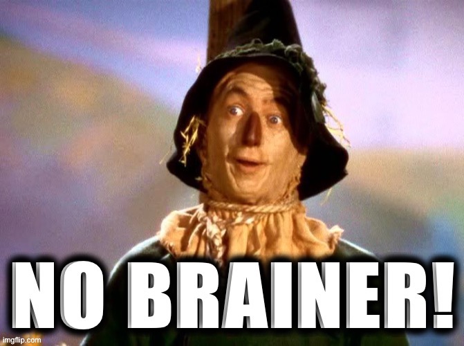 Wizard of Oz scarecrow no brainer | image tagged in wizard of oz scarecrow no brainer | made w/ Imgflip meme maker