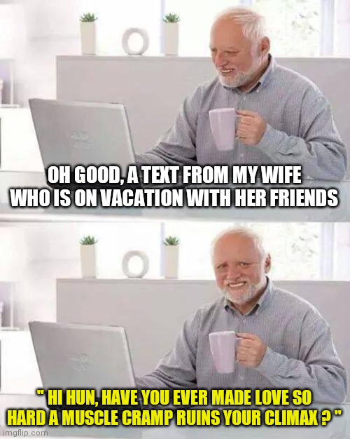 Friends don't let friends drunk text | OH GOOD, A TEXT FROM MY WIFE WHO IS ON VACATION WITH HER FRIENDS; " HI HUN, HAVE YOU EVER MADE LOVE SO HARD A MUSCLE CRAMP RUINS YOUR CLIMAX ? " | image tagged in memes,hide the pain harold | made w/ Imgflip meme maker