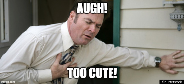 Heartattack | AUGH! TOO CUTE! | image tagged in heartattack | made w/ Imgflip meme maker