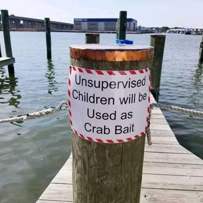 Unsupervised children crab bait Blank Meme Template