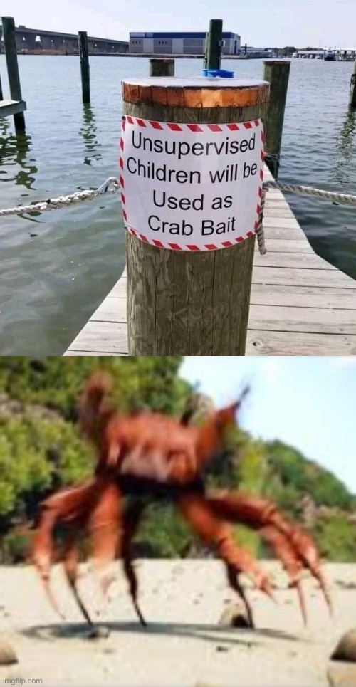 uh oh | image tagged in unsupervised children crab bait,crab rave,hide yo kids hide yo wife,crab,bait,children | made w/ Imgflip meme maker