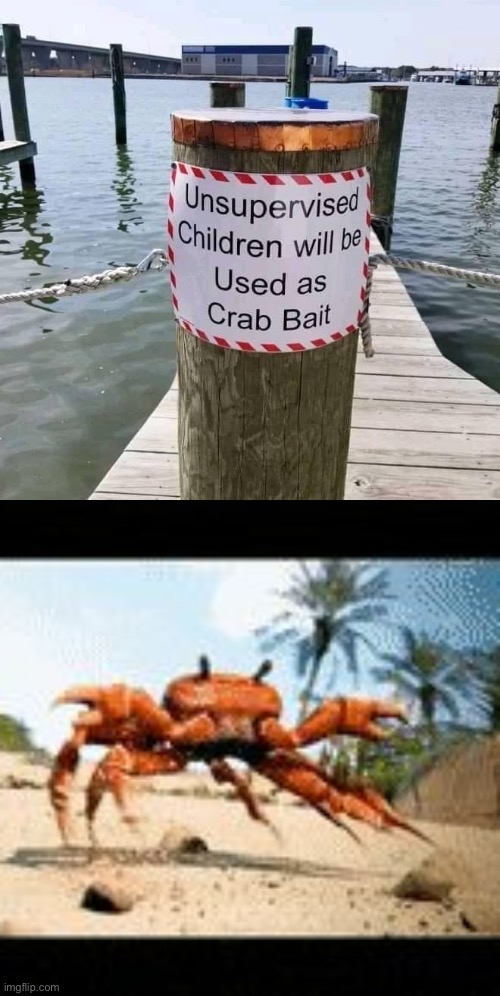 [crab rave noises] | image tagged in unsupervised children crab bait,crab rave gif,crab,bait,children,dark humor | made w/ Imgflip meme maker