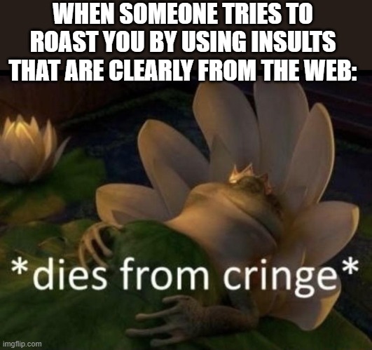 Dies from cringe | WHEN SOMEONE TRIES TO ROAST YOU BY USING INSULTS THAT ARE CLEARLY FROM THE WEB: | image tagged in dies from cringe | made w/ Imgflip meme maker