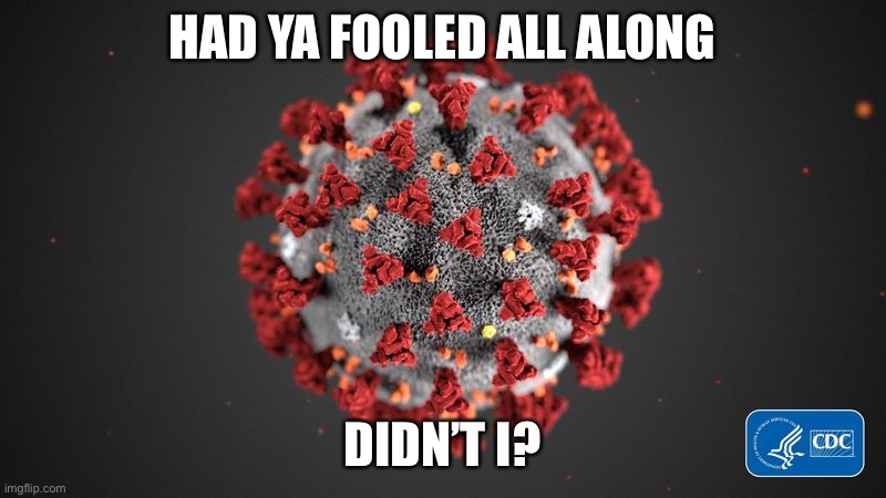 Covid 19 | HAD YA FOOLED ALL ALONG DIDN’T I? | image tagged in covid 19 | made w/ Imgflip meme maker
