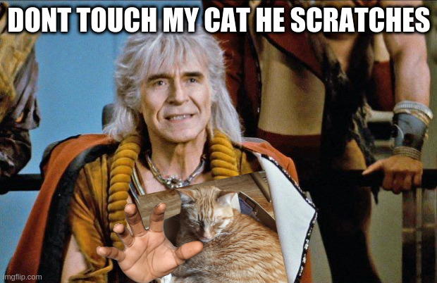 that cat of kahn | DONT TOUCH MY CAT HE SCRATCHES | image tagged in khan,cat | made w/ Imgflip meme maker