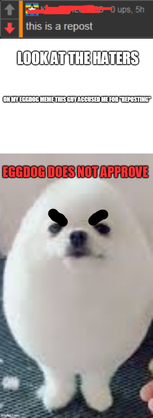 stop accusing me for reposting, this happened on my other post too!!!! | LOOK AT THE HATERS; ON MY EGGDOG MEME THIS GUY ACCUSED ME FOR "REPOSTING"; EGGDOG DOES NOT APPROVE | image tagged in blank white template,eggdog | made w/ Imgflip meme maker