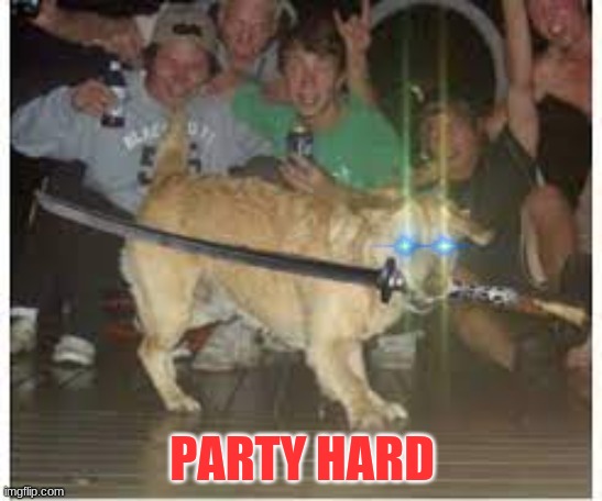 Samurai dog | PARTY HARD | image tagged in samurai dog | made w/ Imgflip meme maker