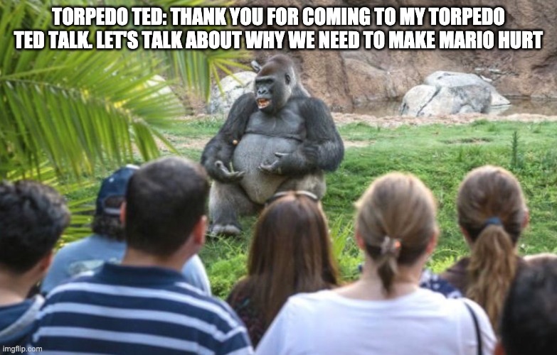 ted talk gorilla | TORPEDO TED: THANK YOU FOR COMING TO MY TORPEDO TED TALK. LET'S TALK ABOUT WHY WE NEED TO MAKE MARIO HURT | image tagged in ted talk gorilla | made w/ Imgflip meme maker