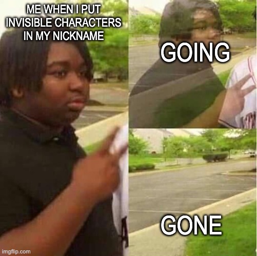 disappearing  | ME WHEN I PUT INVISIBLE CHARACTERS IN MY NICKNAME GOING GONE | image tagged in disappearing | made w/ Imgflip meme maker