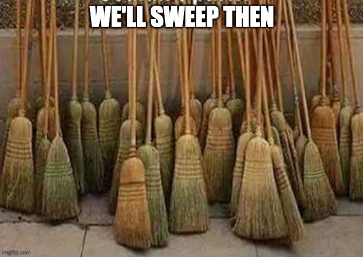 broom | WE'LL SWEEP THEN | image tagged in broom | made w/ Imgflip meme maker