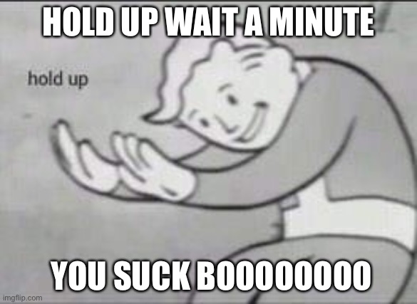 Fallout Hold Up | HOLD UP WAIT A MINUTE; YOU SUCK BOOOOOOOO | image tagged in fallout hold up | made w/ Imgflip meme maker