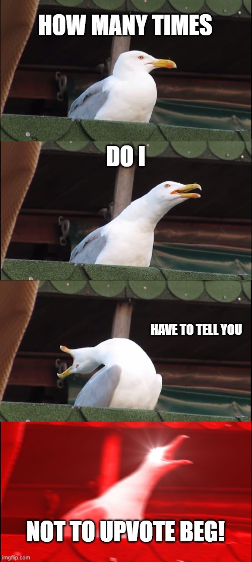 Inhaling Seagull Meme | HOW MANY TIMES; DO I; HAVE TO TELL YOU; NOT TO UPVOTE BEG! | image tagged in memes,inhaling seagull | made w/ Imgflip meme maker