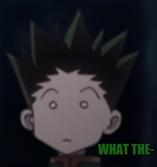 Gon what the- Blank Meme Template