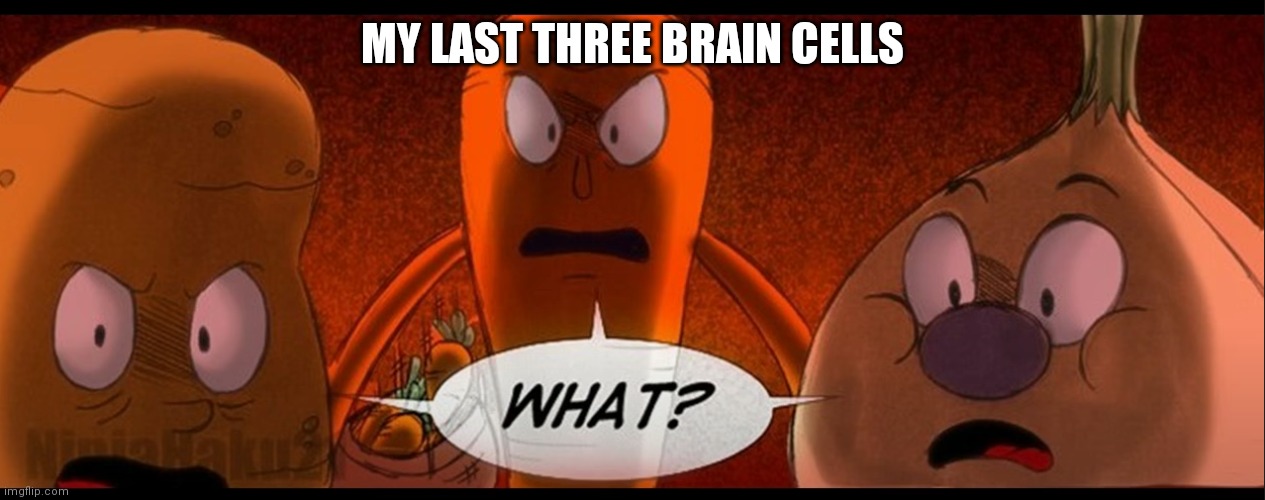What?! | MY LAST THREE BRAIN CELLS | image tagged in what | made w/ Imgflip meme maker