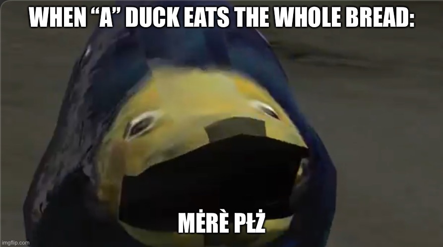 MĖRÈ PŁŻ | WHEN “A” DUCK EATS THE WHOLE BREAD:; MĖRÈ PŁŻ | image tagged in a duck | made w/ Imgflip meme maker