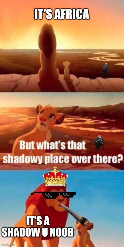 Totally agree with you | IT'S AFRICA; IT'S A SHADOW U NOOB | image tagged in memes,simba shadowy place | made w/ Imgflip meme maker