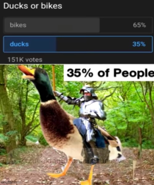 Lol | image tagged in ducks,memes,funny | made w/ Imgflip meme maker