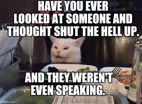 Salad cat | HAVE YOU EVER LOOKED AT SOMEONE AND THOUGHT SHUT THE HELL UP. J M; AND THEY WEREN'T EVEN SPEAKING. | image tagged in salad cat | made w/ Imgflip meme maker