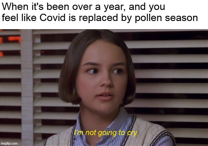Mary Anne of the Baby-Sitters Club Movie: I'm not going to cry | When it's been over a year, and you feel like Covid is replaced by pollen season | image tagged in mary anne of the baby-sitters club movie i'm not going to cry,memes,covid,pollen | made w/ Imgflip meme maker