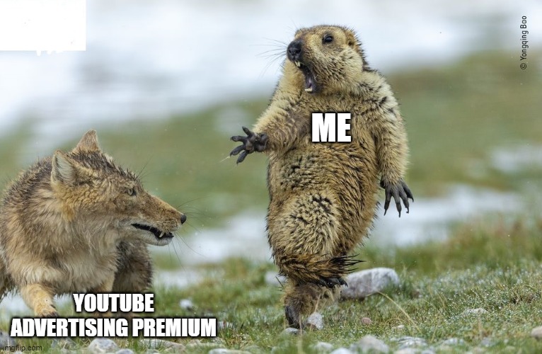 youtube | ME; YOUTUBE ADVERTISING PREMIUM | image tagged in youtube | made w/ Imgflip meme maker