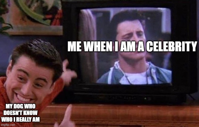 dogs wondering why i am on tv | ME WHEN I AM A CELEBRITY; MY DOG WHO DOESN'T KNOW WHO I REALLY AM | image tagged in mama im in tv | made w/ Imgflip meme maker