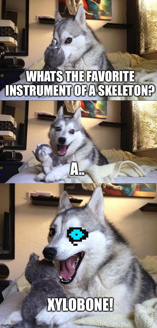 Sans pun doggo | WHATS THE FAVORITE INSTRUMENT OF A SKELETON? A.. XYLOBONE! | image tagged in memes,bad pun dog | made w/ Imgflip meme maker