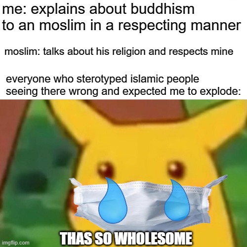 An Moslim and an bhuddist talking | me: explains about buddhism to an moslim in a respecting manner; moslim: talks about his religion and respects mine; everyone who sterotyped islamic people seeing there wrong and expected me to explode:; THAS SO WHOLESOME | image tagged in memes,surprised pikachu | made w/ Imgflip meme maker