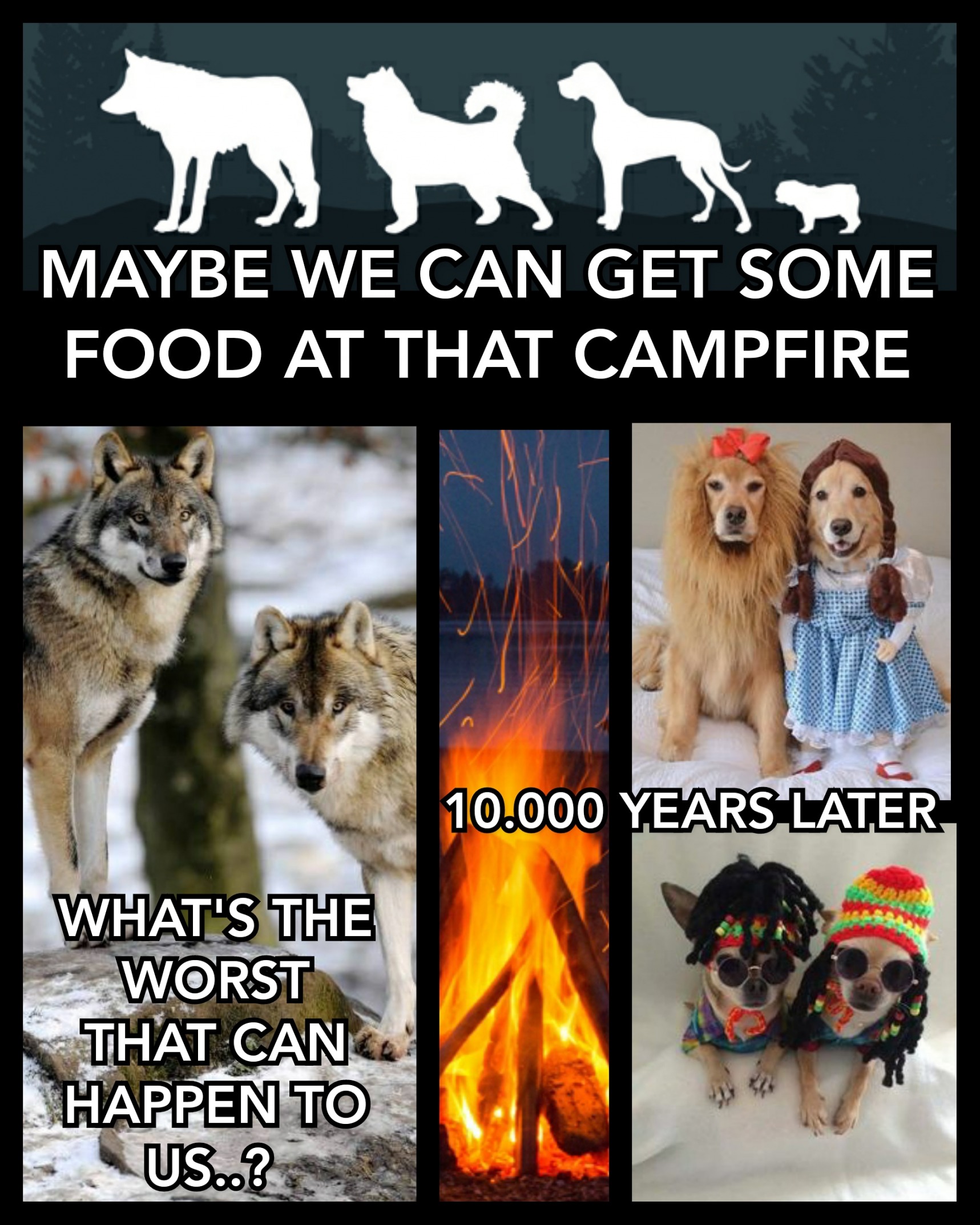 MAYBE WE CAN GET SOME FOOD AT THAT CAMPFIRE..? Blank Meme Template